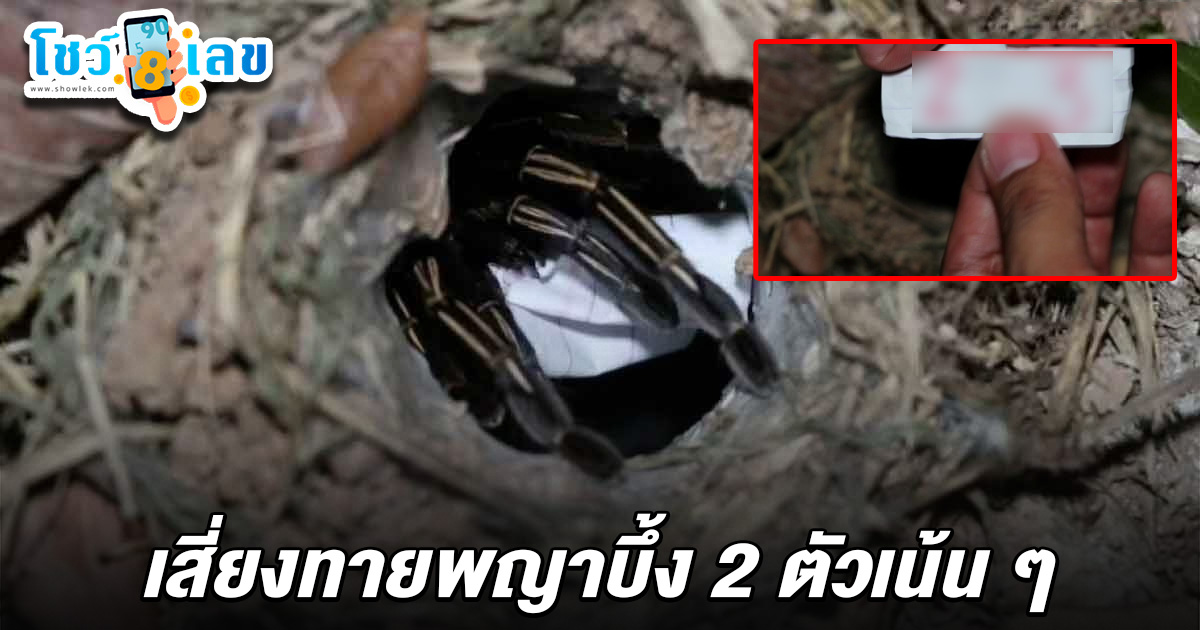 มาแล้วเลขที่รอ เสี่ยงทาย เลขเด็ดพญาบึ้ง 16/6/68 จัดให้นักเสี่ยงดวง ทำพิธีขอเลขตามความเชื่อ 2 ตัวเน้นๆ ลุ้นรวยงวดนี้