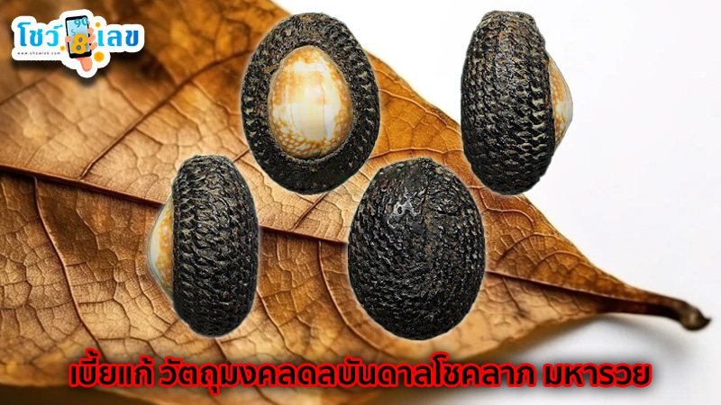 รูปภาพเบี้ยแก้วัตถุมงคลดลบันดาลโชคลาภของ heng99