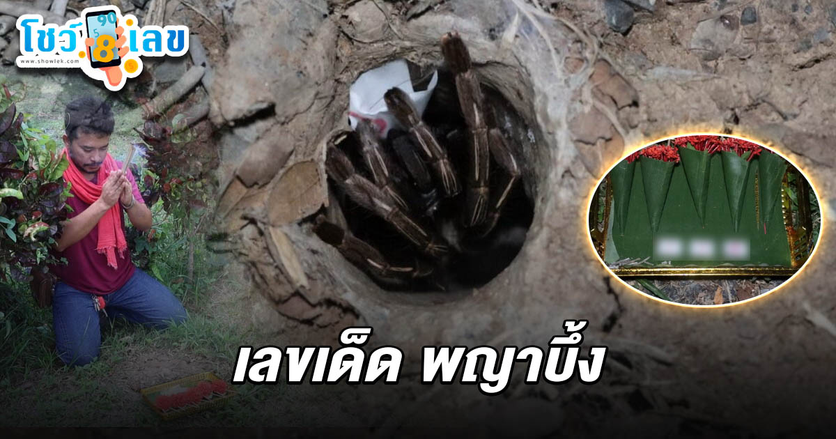 ฮือฮา! พญาบึ้งให้โชค คอหวยจุดธูปขอเบอร์-หย่อนกระดาษ ได้ เลขเด็ดพญาบึ้ง 1/7/68 เตรียมลุ้นโชคงวดนี้!