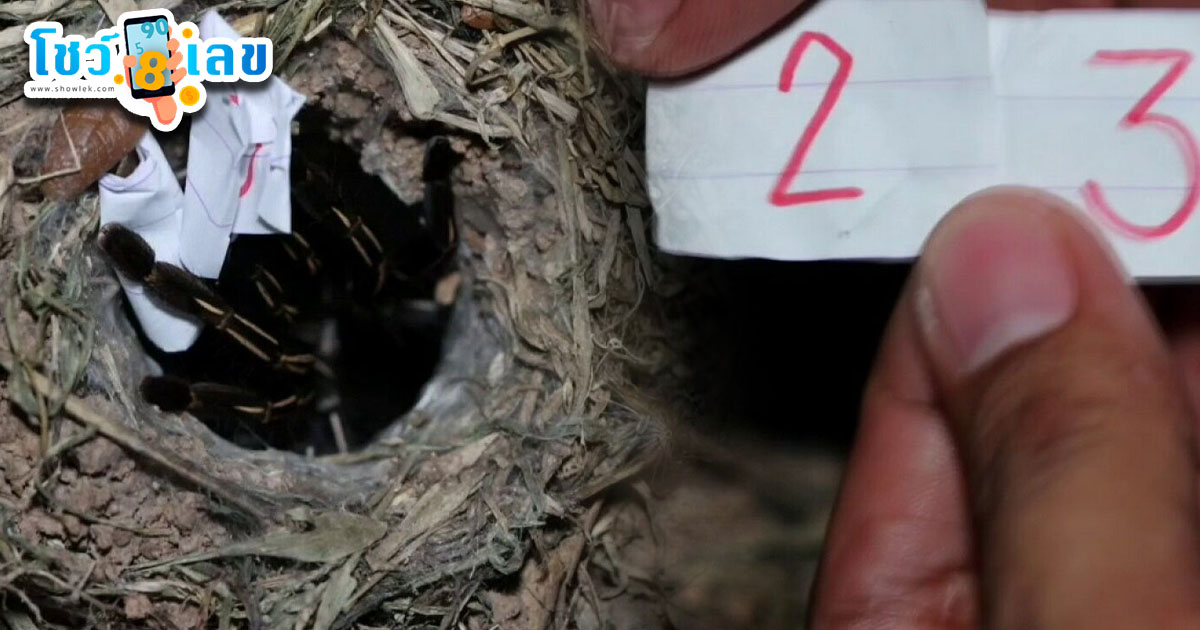 รูปภาพเลขเด็ดจากพญาบึ้งของ lekdedonline