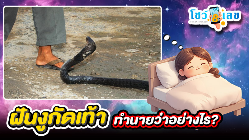 รูปภาพฝันงูกัดเท้าของ lekdedonline