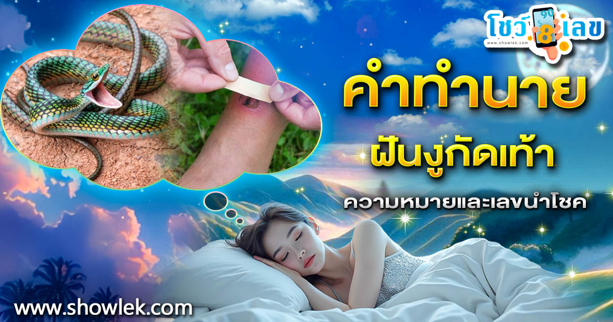 ฝันงูกัดเท้า จะมีลางดีหรือลางร้าย พร้อมเปิดความหมายสุดแม่น พร้อมเลขเด็ดทำนายฝัน ห้ามพลาด!