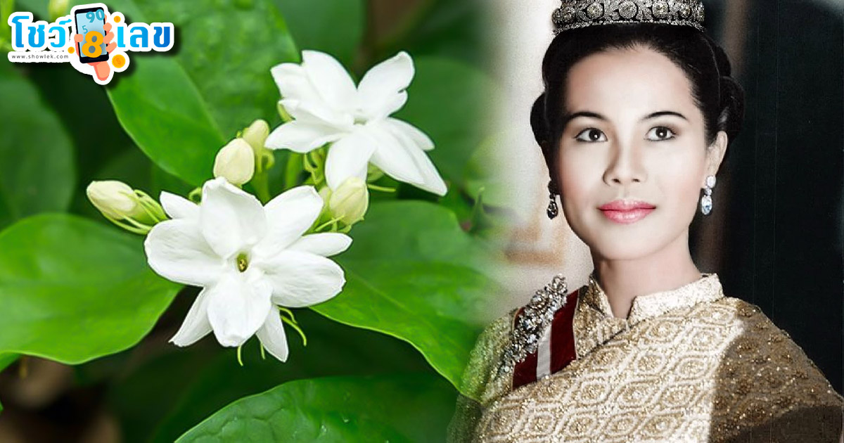 รูปภาพพระบรมราชชนนีพันปีหลวงของ heng99