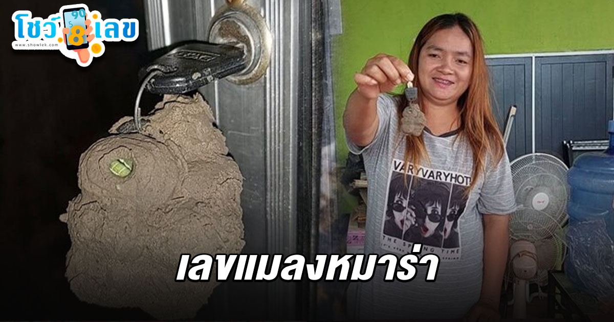 หมาร่าทำรังในพวงกุญแจแค่คืนเดียว! สาวเชื่อเป็นแมลงนำโชค คอหวยแห่ส่อง เลขแมลงหมาร่า 1/8/68 เสี่ยงโชคลุ้นรวย