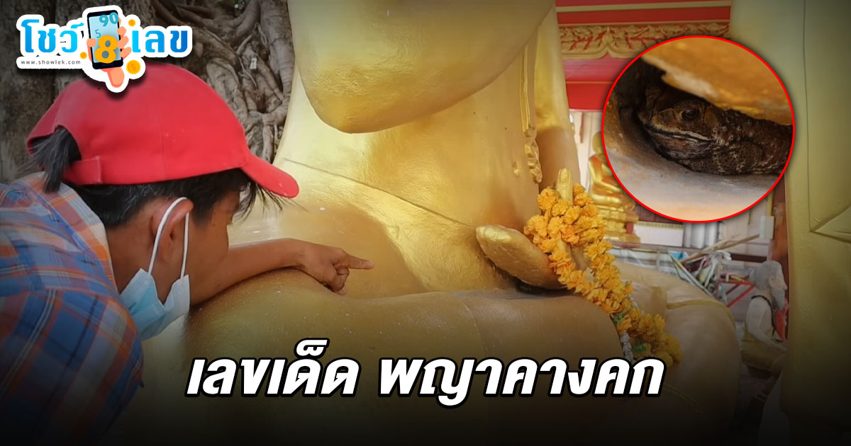 ฮือฮา คางคกนอนอยู่ใต้ฝ่ามือพระพุทธรูป หลังให้โชค 3 งวดติด คอหวยไม่พลาดส่อง เลขเด็ดคางคก 1/7/68 เสี่ยงโชคลุ้นรวยงวดนี้