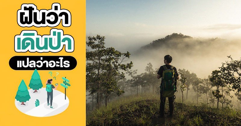 ฝันว่าเดินป่า - Dreaming hiking