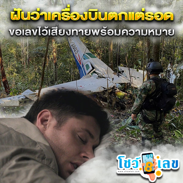 รูปภาพตีเลขทำนายฝันว่าเครื่องบินตกแต่รอดของ lekdedonline