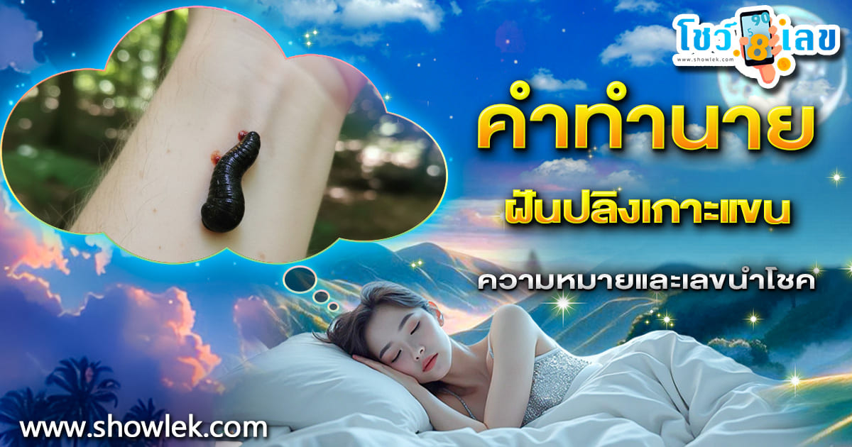 ทำนายฝัน ฝันปลิงเกาะแขน หมายถึงอะไร พร้อมเผยเลขให้โชคแบบไม่มีกั๊ก